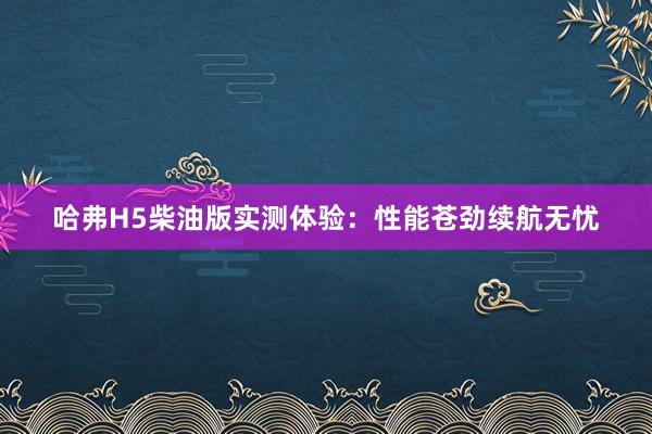 哈弗H5柴油版实测体验：性能苍劲续航无忧